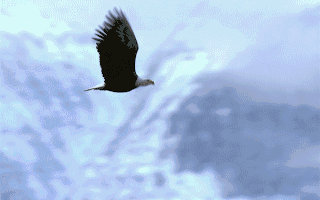 【投融资动态】光远新材A轮融资投资方为尚颀资本、上汽集团等